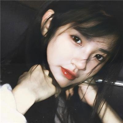 动物狂想曲第二季