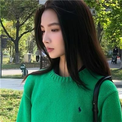 29片棕榈叶